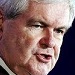 Newt Gingrich Background