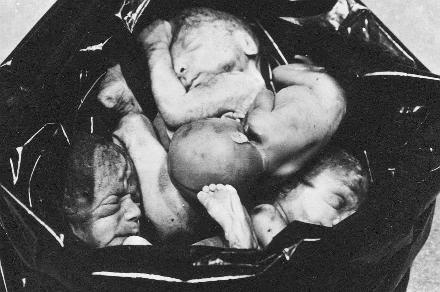 abortion-trash.jpg