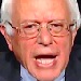 Bernie Sanders Platform